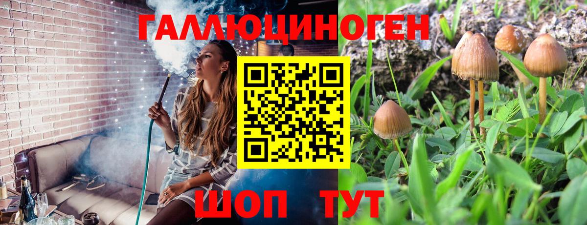 Галлюциногенные грибы MAGIC MUSHROOMS Мелеуз